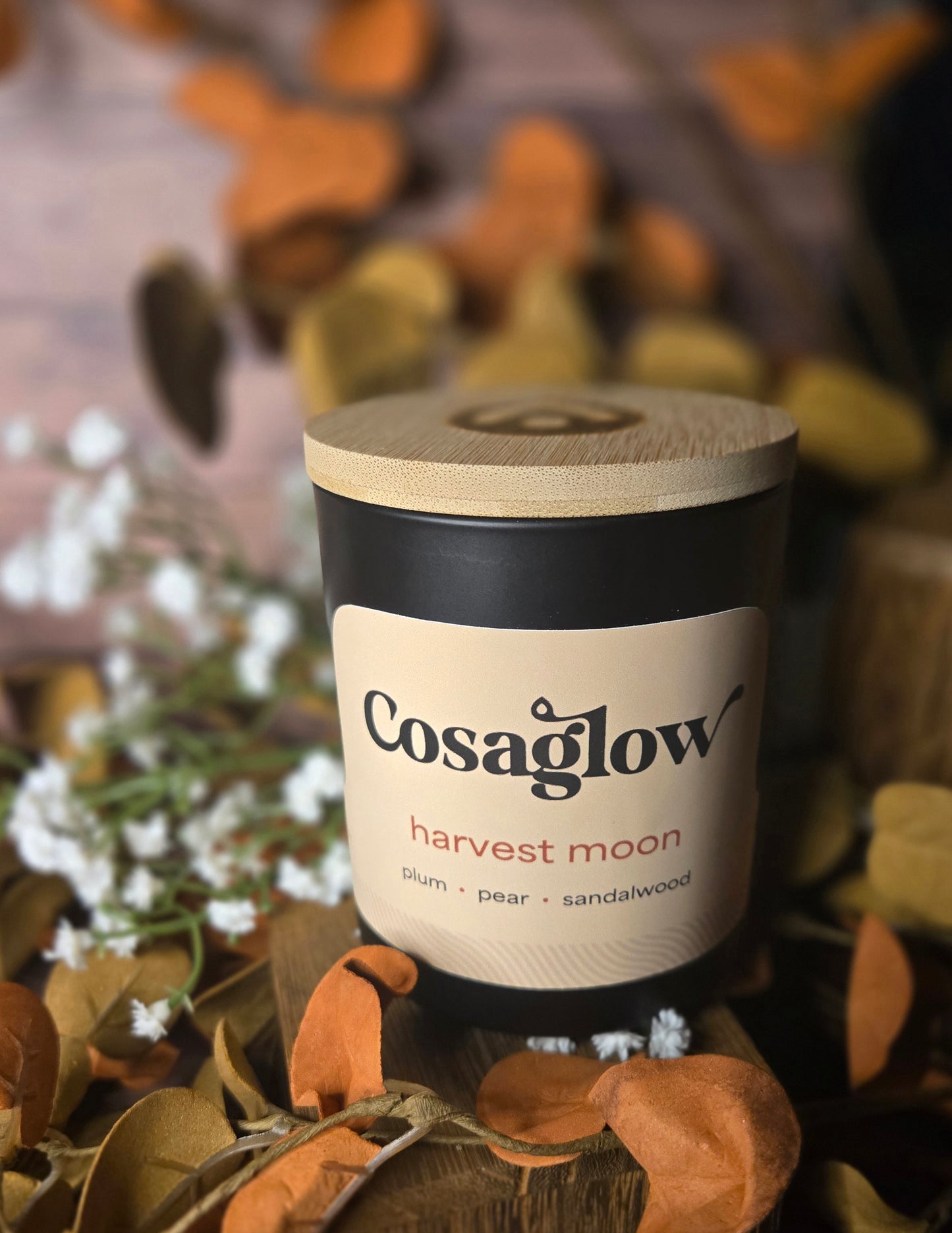 Harvest Moon - Limited Edition