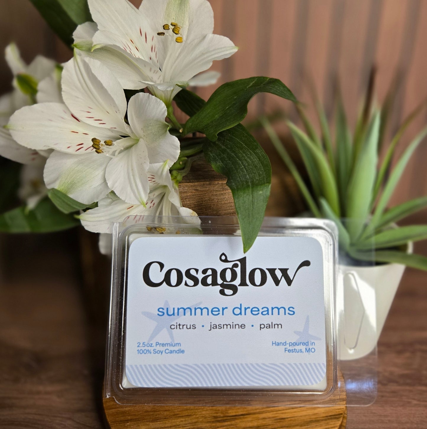 Summer Dreams